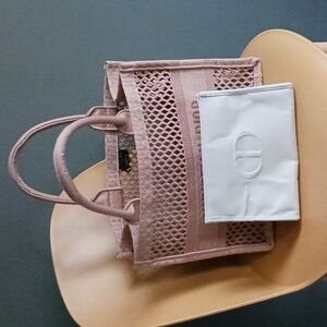 Christian Dior Cosmetic Bag + Taupe Mesh Streetwear Book Bag